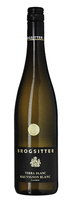 Brogsitter Weing&uuml;ter, Rheinhessen Terra Blanc Sauvignon Blanc  